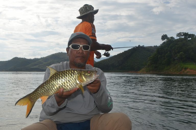 Tip Memancing Sebarau!!