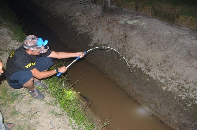 Mengocak Lubang Belut Malam Hari