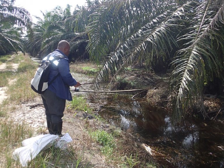 Memujuk Bujuk Di Parit Sempit, Tanjung Tualang!!