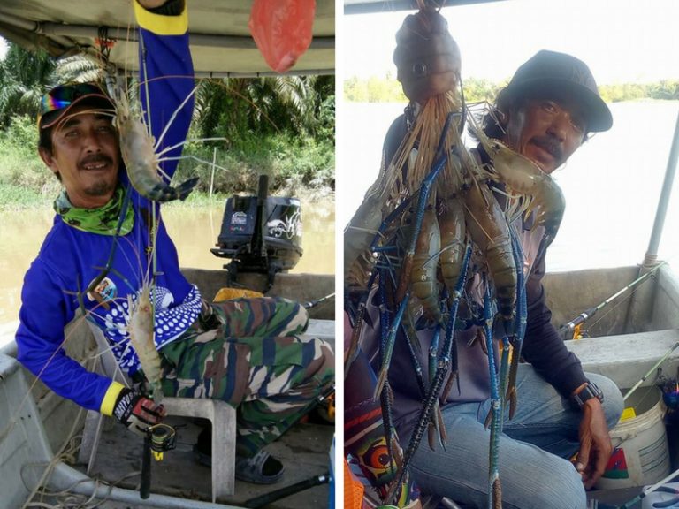 Khidmat Servis Tekong : Pancing Udang Sara Keluarga ®