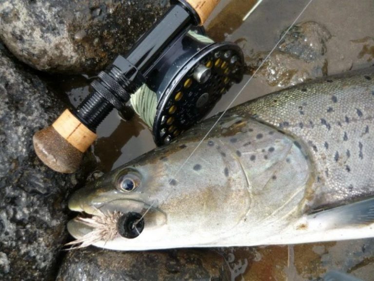 8 Spesies Buruan Kaki Fly Fishing *cpy