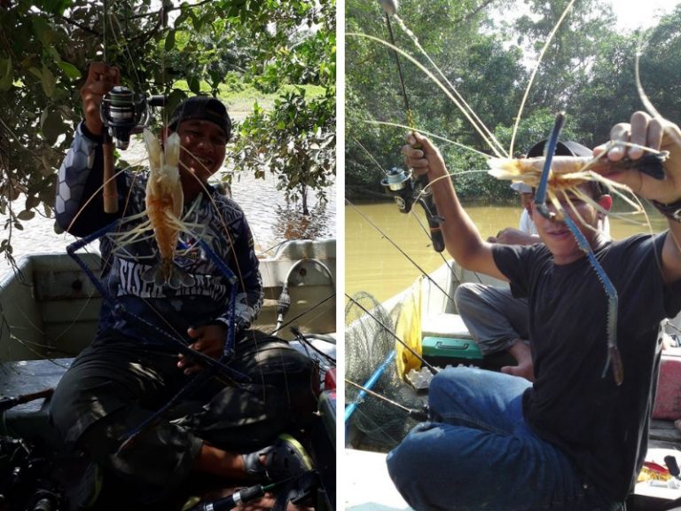 Rahsia Memancing Udang Galah!!