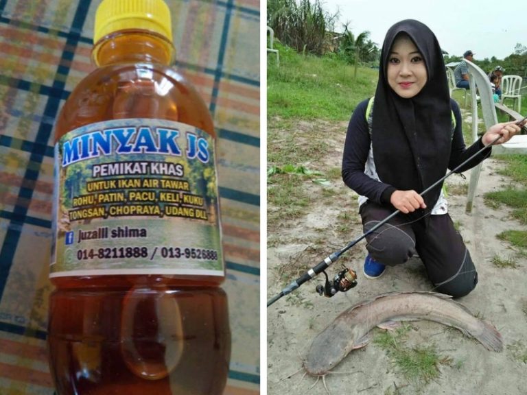 Umpan Keli Minyak JS!!