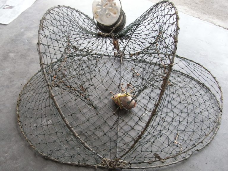 Tangkap Ketam Nipah Dengan Bento@