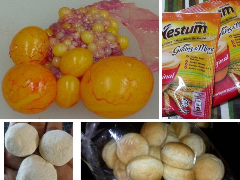 Umpan keli : Umpan Telur Ayam Muda!!