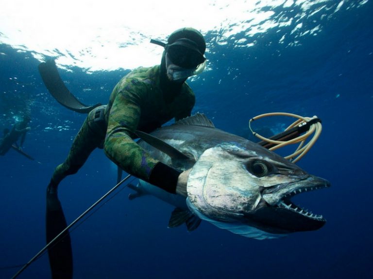 CARA EKSTREM DAN BERISIKO MENANGKAP IKAN!!