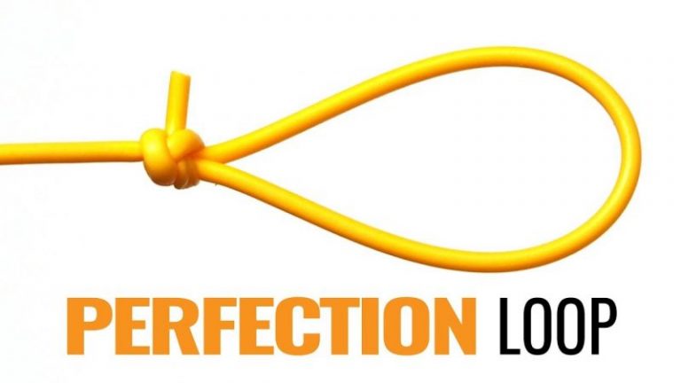 Kelas Asas Memancing – Perfection Loop!!