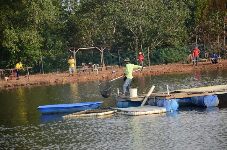 Korang Tanya Umpan Jawab -(S6S10)- Waktu terbaik pancing siakap kolam??