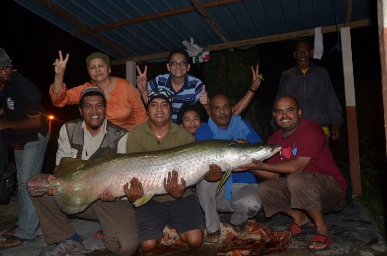 Wacana : Korang Memancing Untuk Apa?