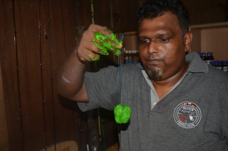 Umpan Patin : Tepung Minyak Badam ©