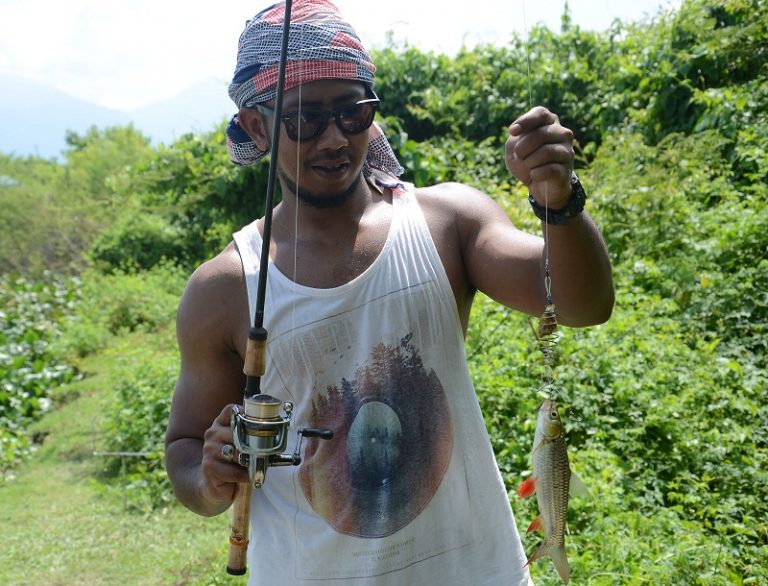 Umpan Jelawat Liar Moden (arkib)