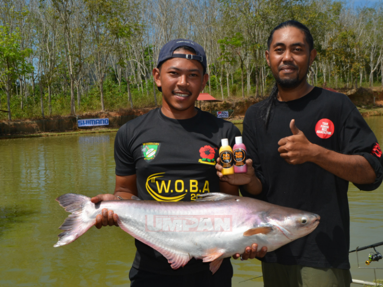 Umpan Tepung Minyak Papa Paste