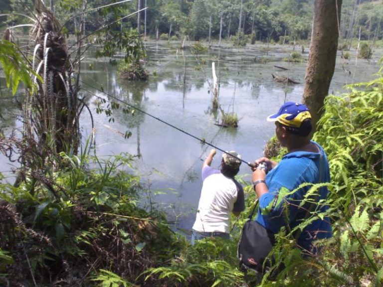 Trip Retro – Memburu Haruan Palas & Bujuk Hutan!!