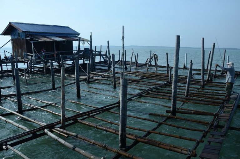 Panduan Memancing Di Kelong & Rumah Rakit!!