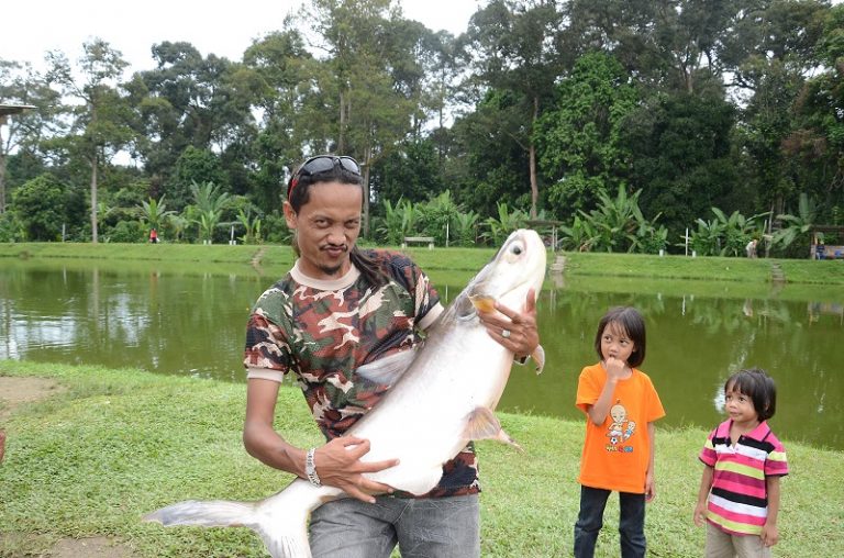 Istilah-Istilah Patin Popular Di Kolam!!