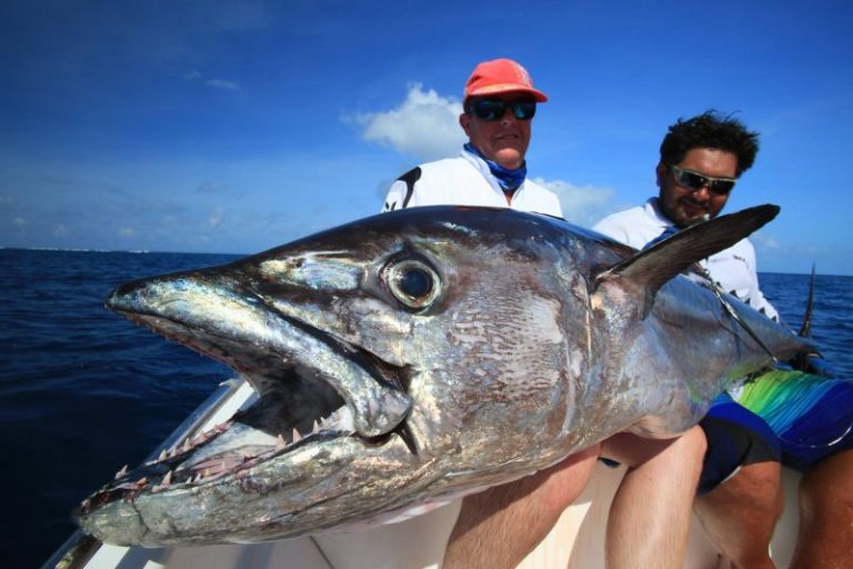 Info Spesies : Kenali Ikan Aya Budak!!