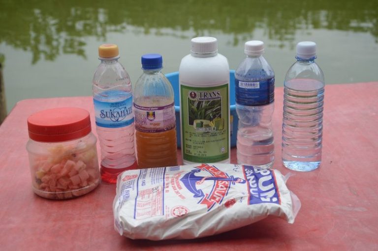 Umpan Patin Lilit Kuala Pilah (VIDEO)