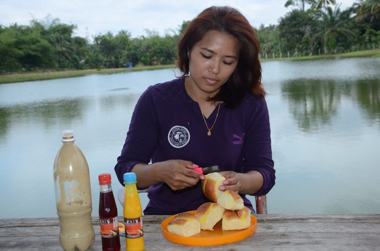 Umpan Perah Roti Potato