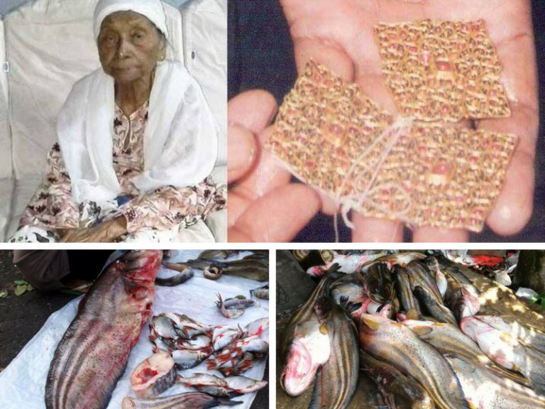 LEGENDA SI IKAN TAPAH