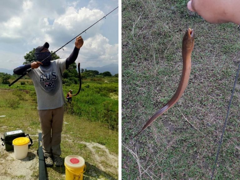 Wacana : Pengalaman Memancing Belut!!