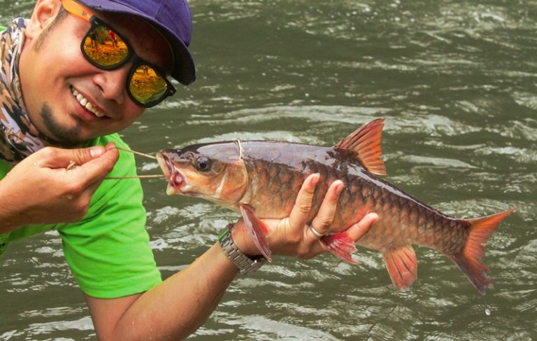 Sungai Keniam – Lubuk Ikan Sungai Pergunungan