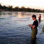 Fishing for American shad in the American River