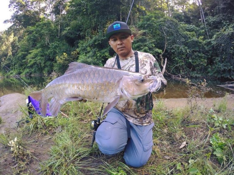 Tip Memancing Kelah Waktu Malam!!