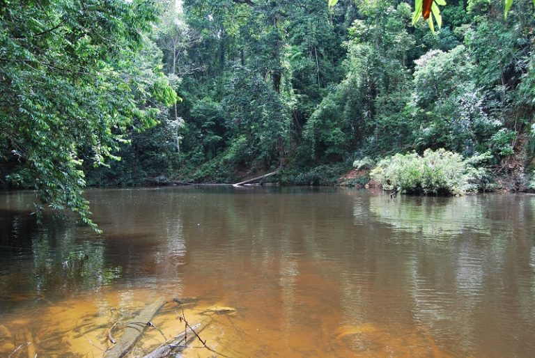 Tip & Pantang Larang Memancing Kelah (Bottom)!!