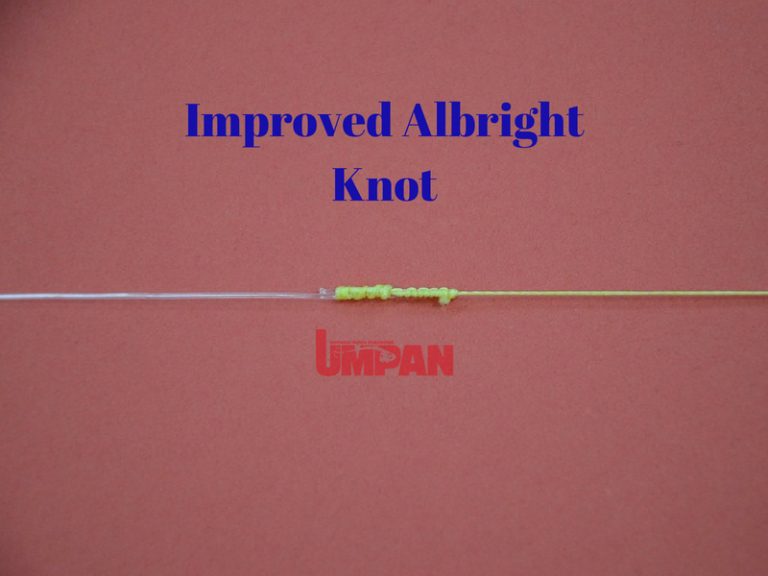 Kelas Asas Memancing : Ikatan Improved Albright Knot ©