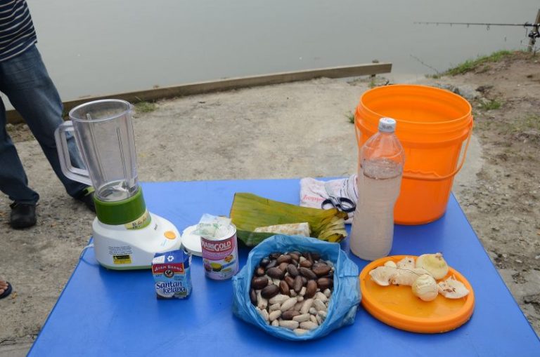 Cara Menghasilkan Umpan Buah Perah ©