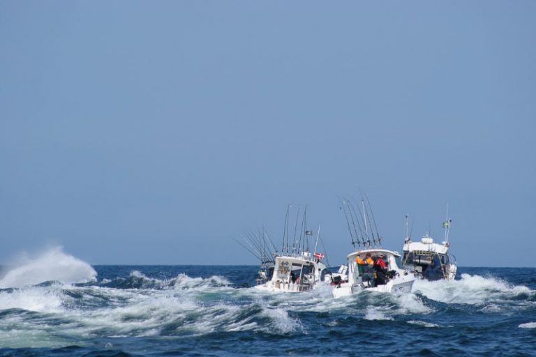 Petua Elak Mabuk Laut