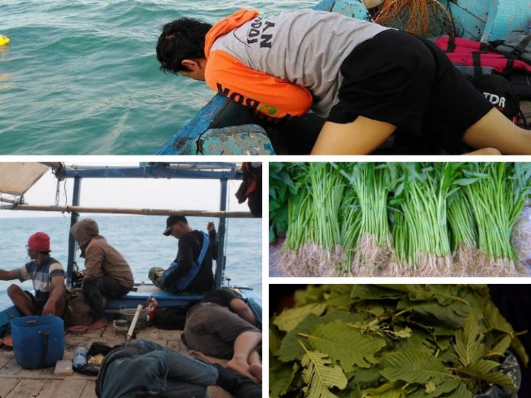 Antara Petua Mabuk Laut & Logik Akal!!