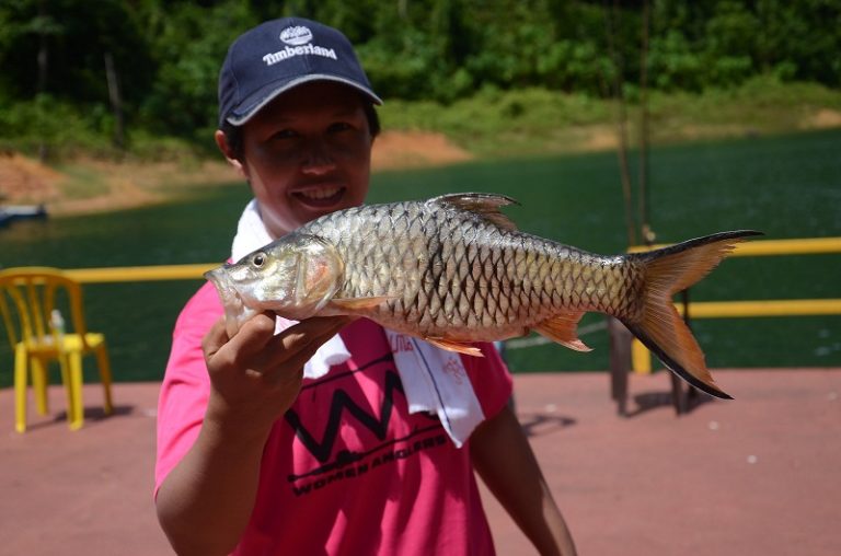 Info Spesies – Kenali Ikan Sebarau ®