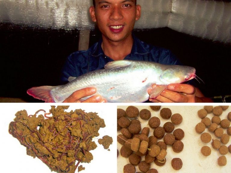 Trip Retro – Buru Patin Rumah Rakit Sungai Pahang