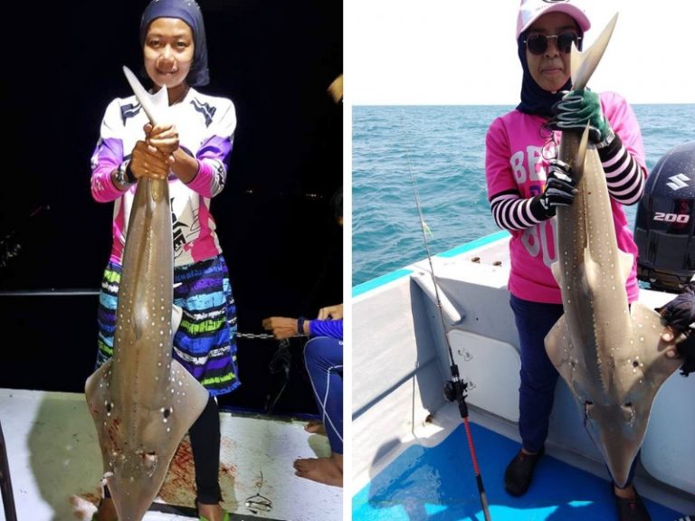 Taktik & Teknik Memancing Yu Kemejan!!