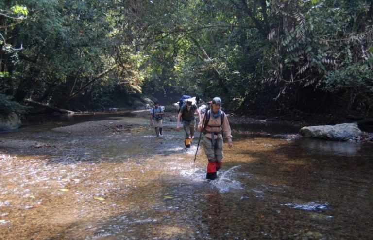 Ilmu Trekking : Panduan Mengelak Lebah!!