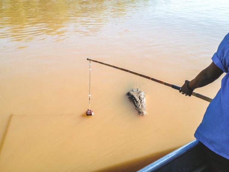 Wacana: Pantang larang memancing – logik ke merapu??