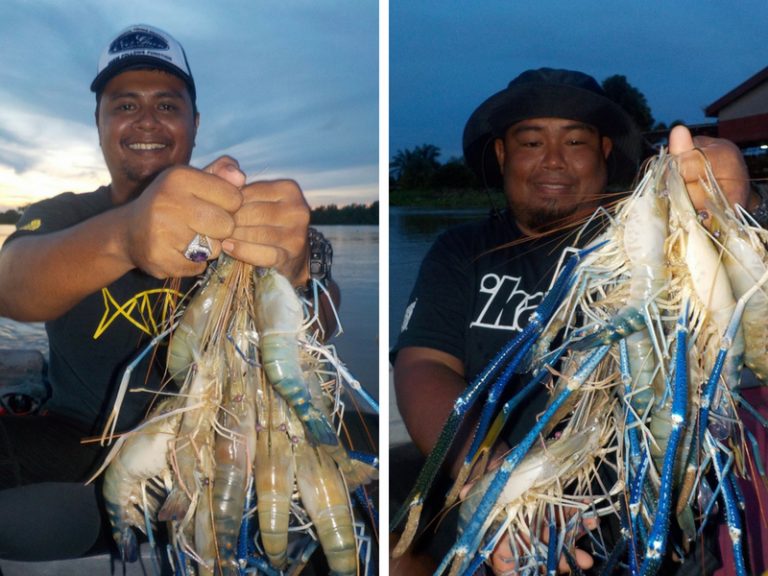 Berakhirnya Badi Kumpau Si Jenggo!!