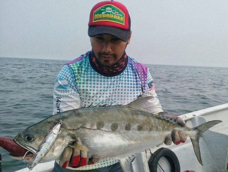 Peranan Pundi Udara Pada Ikan!!