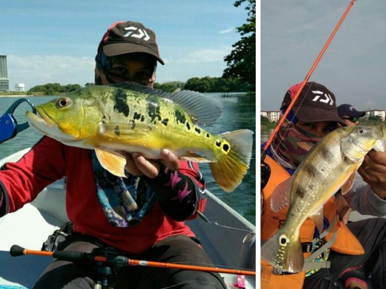 IKON: Lady Angler – Seketul Puteri Seketul Gewang