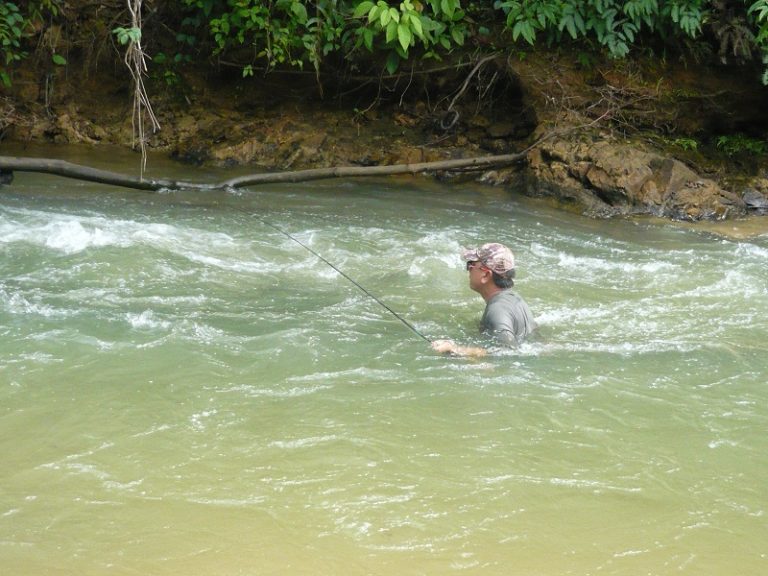 Koleksi Kisah Suram Pemancing