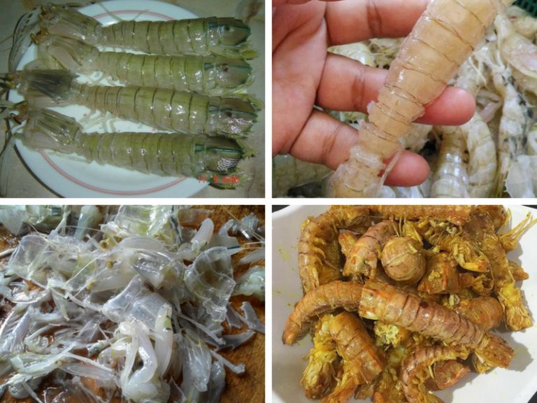 Resepi Pemancing : Tip Menyiang & Menggoreng Udang Lipan
