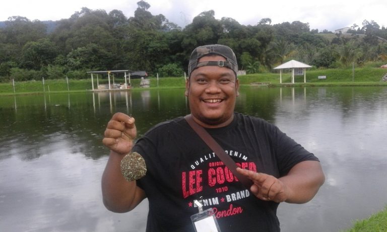 Umpanpedia : Umpan Pelet Minyak Kuinin (VIDEO)!!
