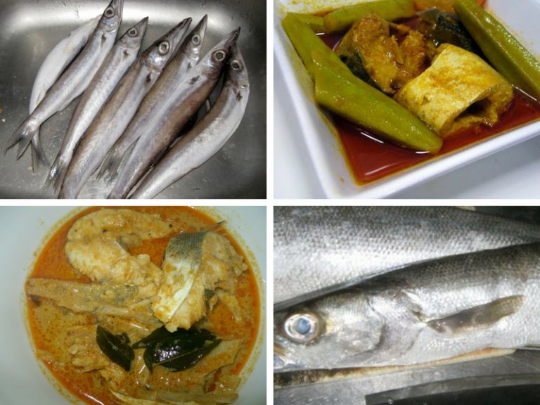Resepi Pemancing – Kari Power Ikan Alu-Alu