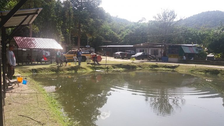 Korang Tanya Umpan Jawab -S8S8- Selalu kumpau mancing kolam!!