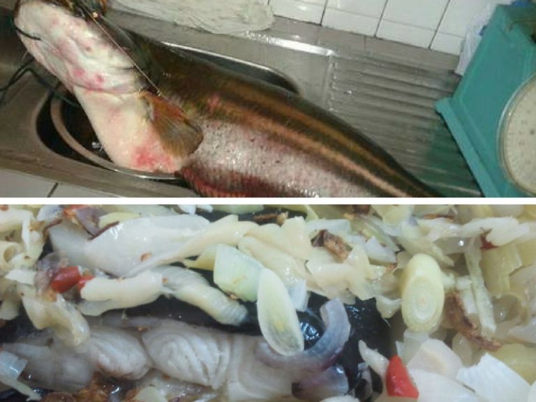 Resepi Pemancing: Ikan Tapah Stim Ala Cina